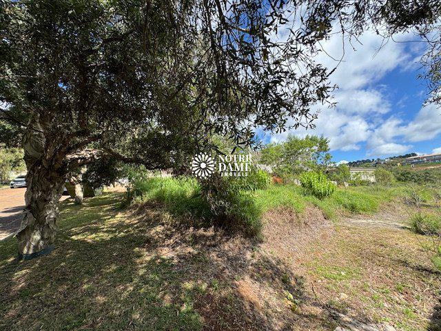 Lote, Serra dos Manacás, 0 Quarto, 0 Vaga