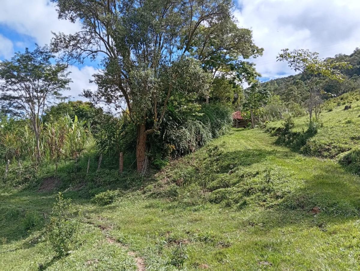 Fazenda, Centro, 3 Quartos, 10 Vagas, 1 Suíte