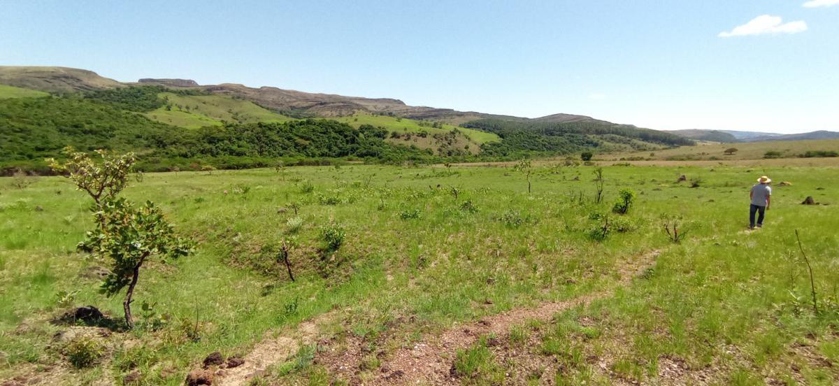 Fazenda, Zona Rural, 0 Quarto, 0 Vaga
