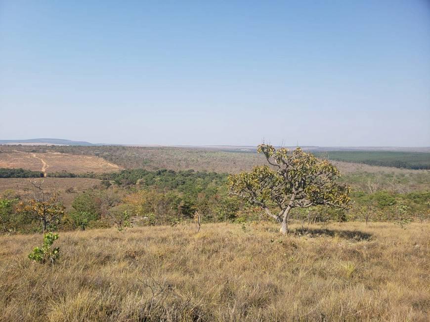 Fazenda, Centro, 0 Quarto, 0 Vaga