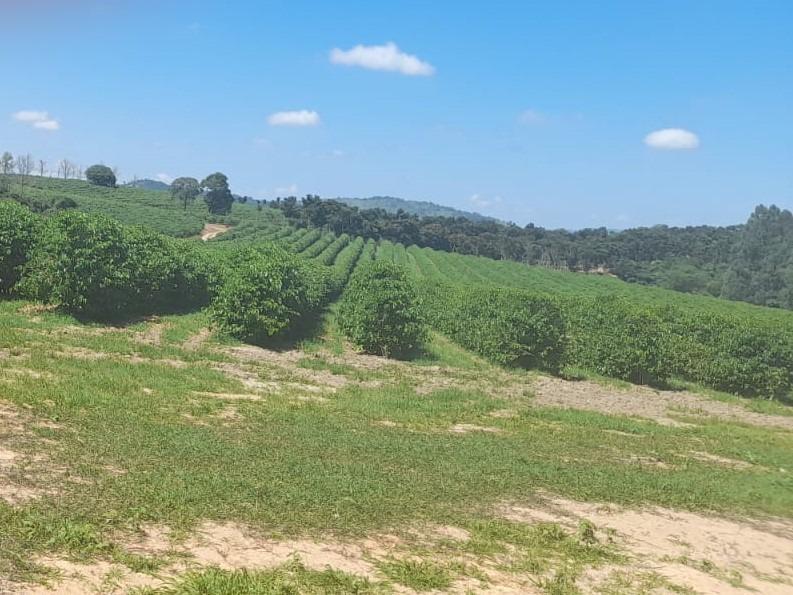 Fazenda, Centro, 1 Quarto, 1 Vaga, 1 Suíte