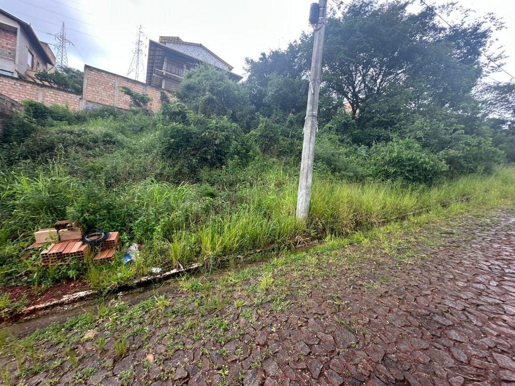 Lote, Vila Real, 0 Quarto, 0 Vaga