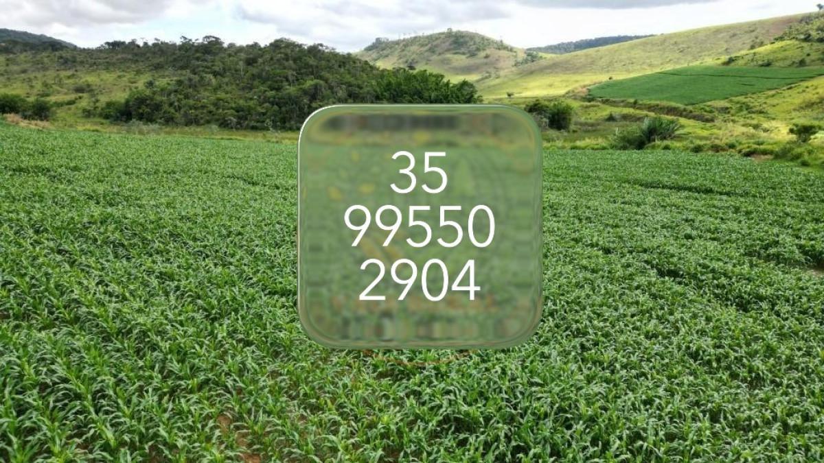 Fazenda, Area Rural de Juiz de Fora, 0 Quarto, 0 Vaga