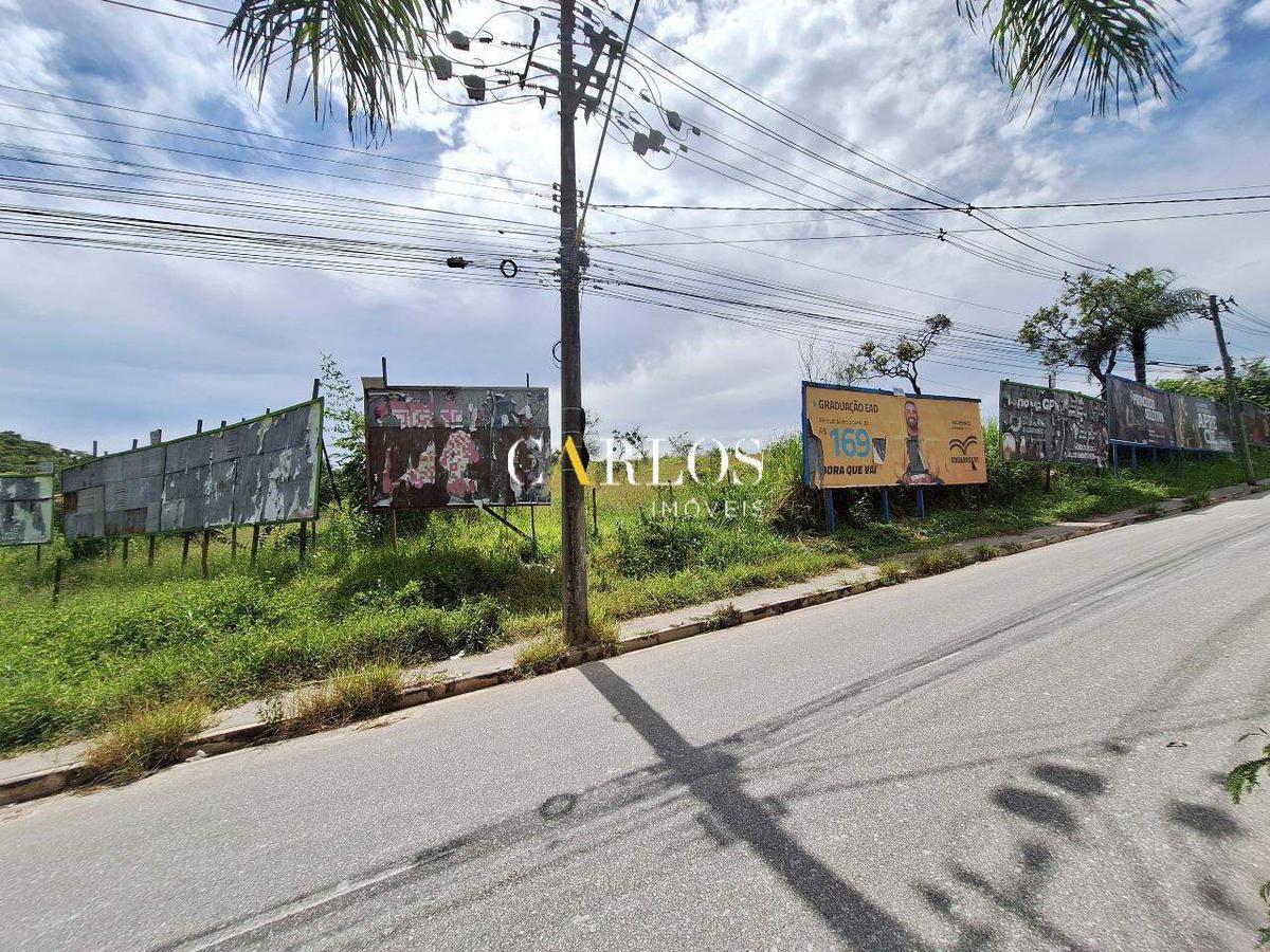 Lote, Cidade Verde