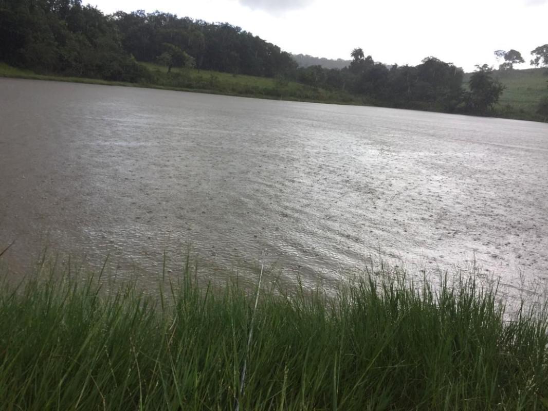 Fazenda, Centro, 3 Quartos, 10 Vagas, 1 Suíte