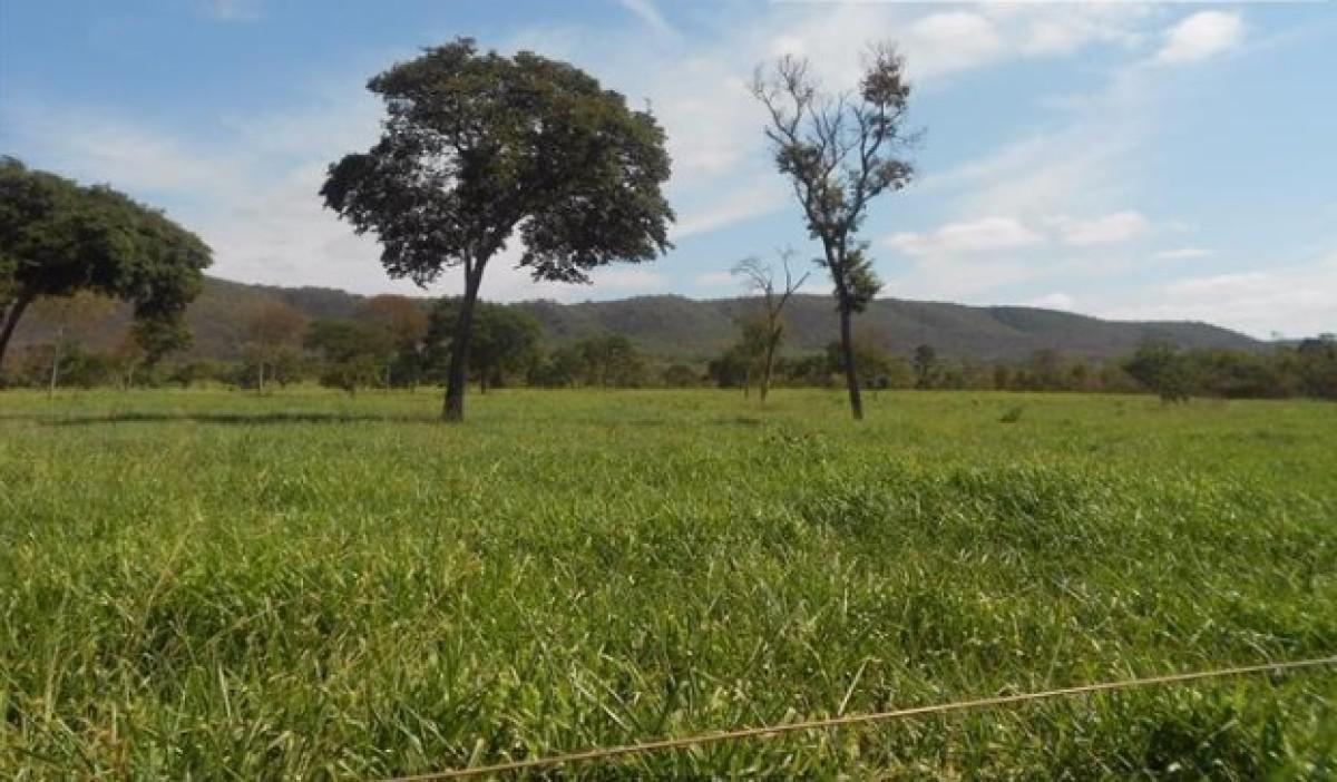 Fazenda, Zona Rural, 0 Quarto, 0 Vaga