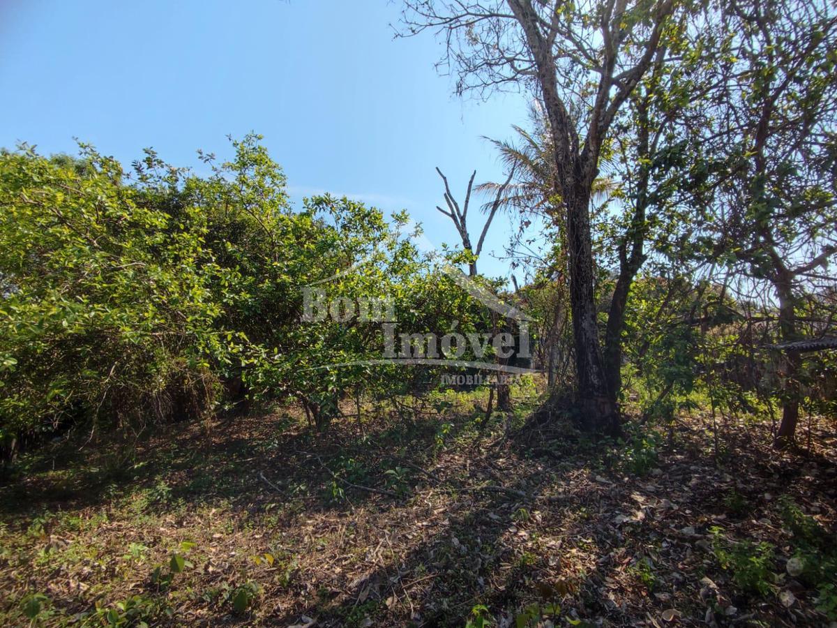 Lote, Centro, 0 Quarto, 0 Vaga