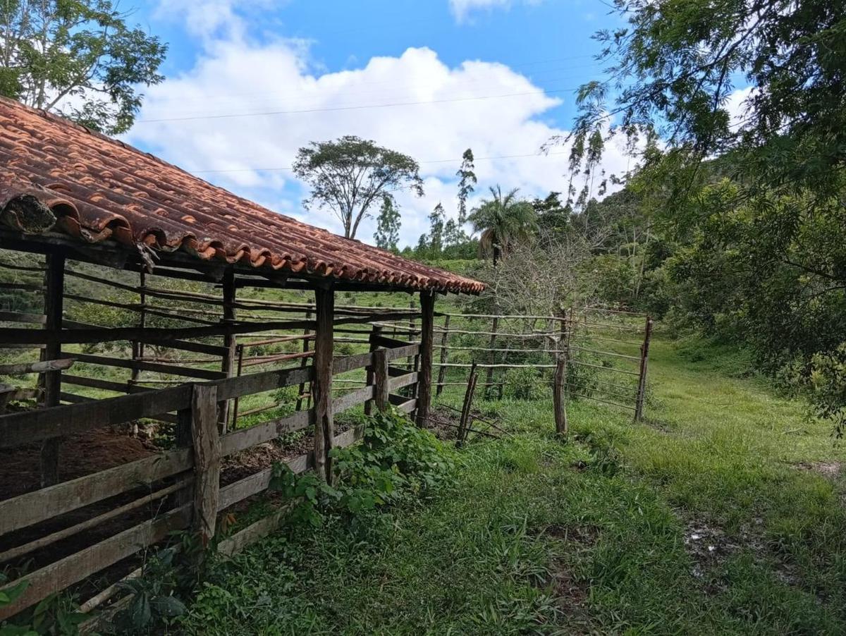 Fazenda, Centro, 3 Quartos, 10 Vagas, 1 Suíte