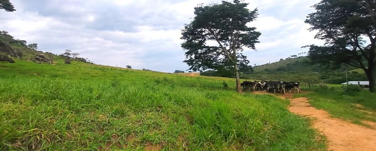 Fazenda, Zona Rural, 0 Quarto, 0 Vaga