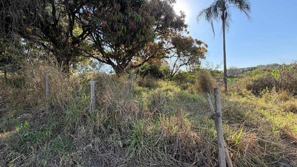 Lote, Centro, 0 Quarto, 0 Vaga