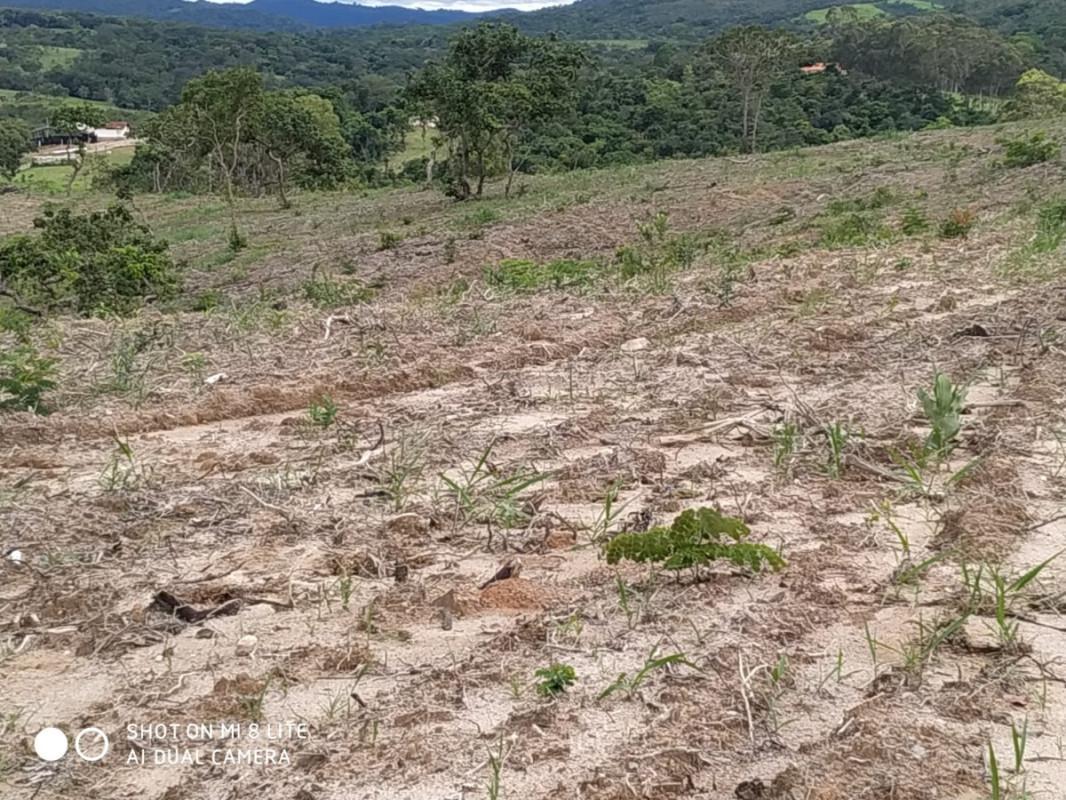 Fazenda, Centro, 0 Quarto, 0 Vaga