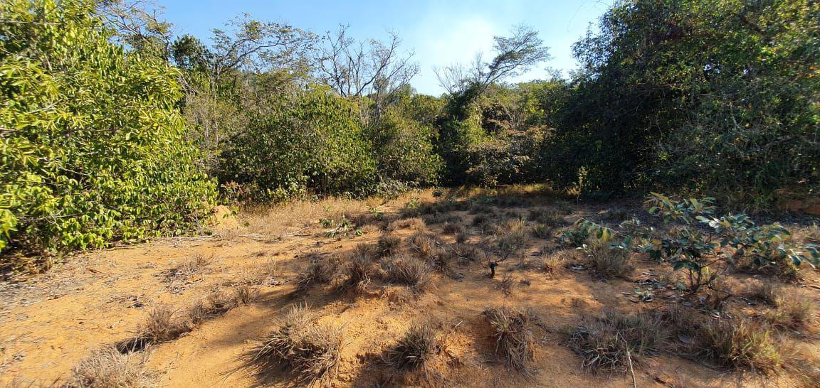 Lote, Zona Rural, 0 Quarto, 0 Vaga