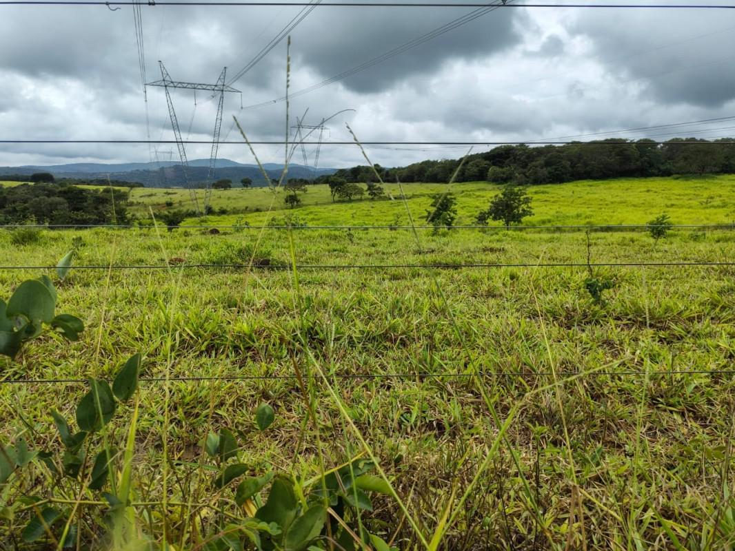 Fazenda, Zona Rural, 5 Quartos, 0 Vaga