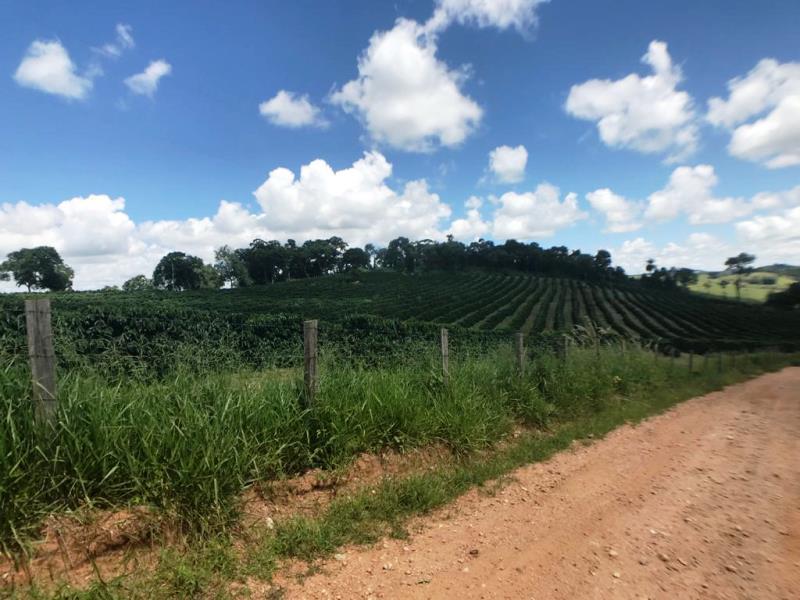 Fazenda, Zona Rural, 0 Quarto, 0 Vaga