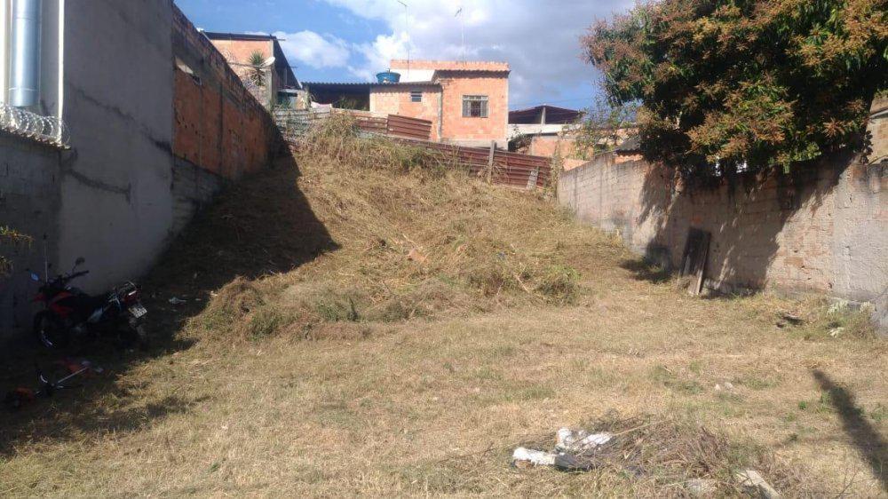 Lote, Cruzeiro do Sul, 0 Quarto, 0 Vaga