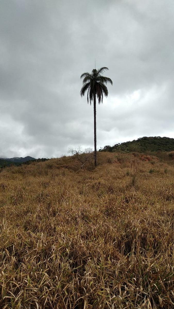 Lote, Zona Rural, 0 Quarto, 0 Vaga