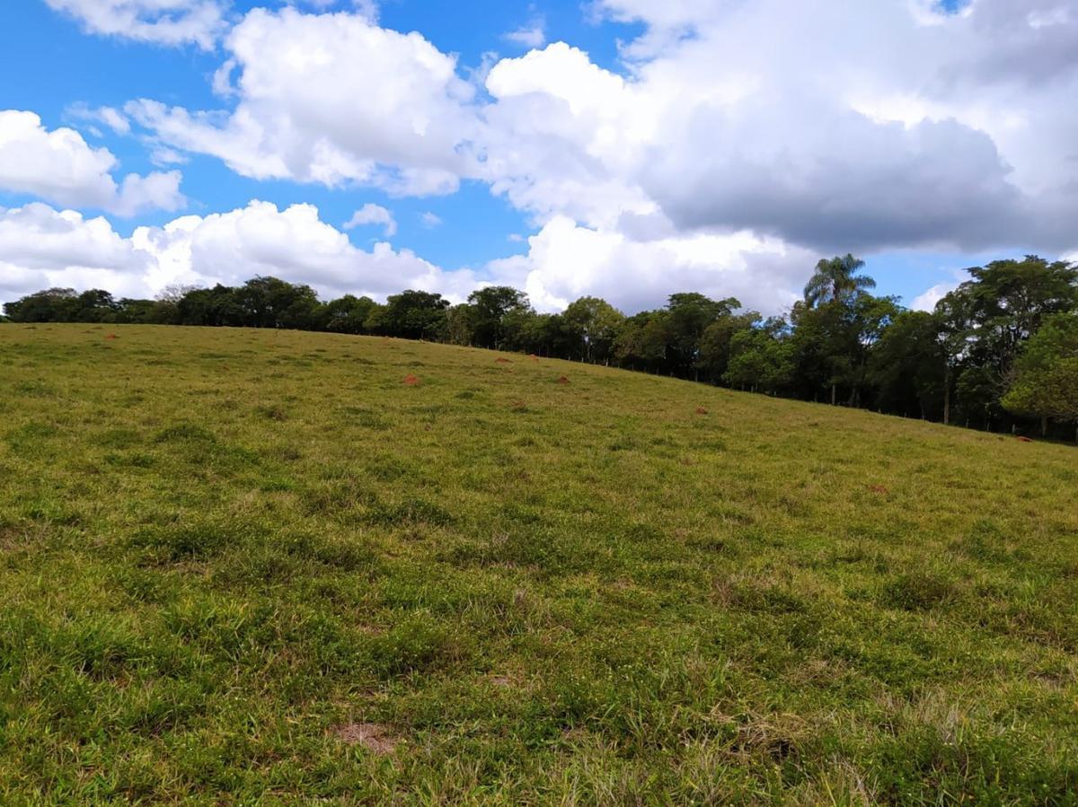 Fazenda, Centro, 1 Quarto, 1 Vaga