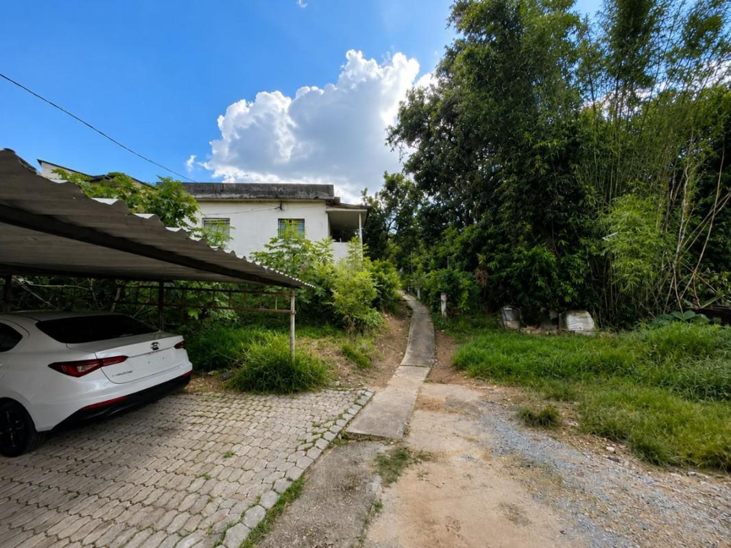 Lote, Palmeiras, 0 Quarto, 0 Vaga