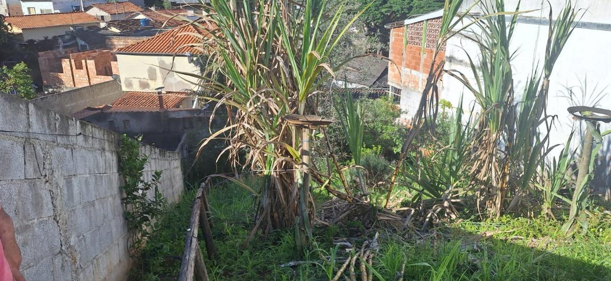 Lote, Três Bicas, 0 Quarto, 0 Vaga