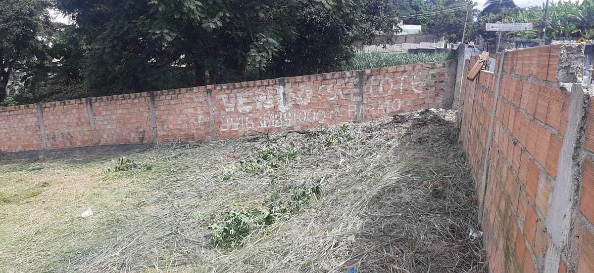 Lote, Braúnas, 0 Quarto, 0 Vaga