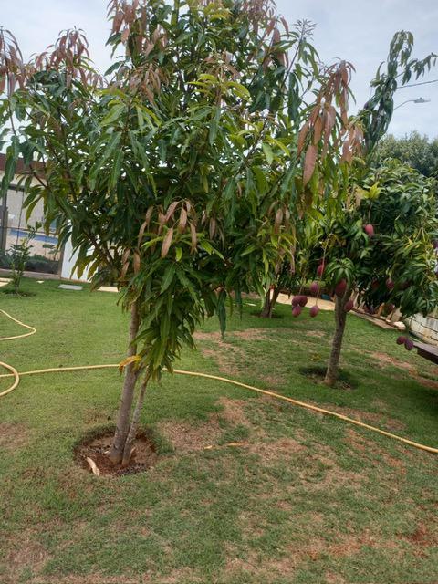 Fazenda, Serra Morena, 3 Quartos, 10 Vagas, 1 Suíte