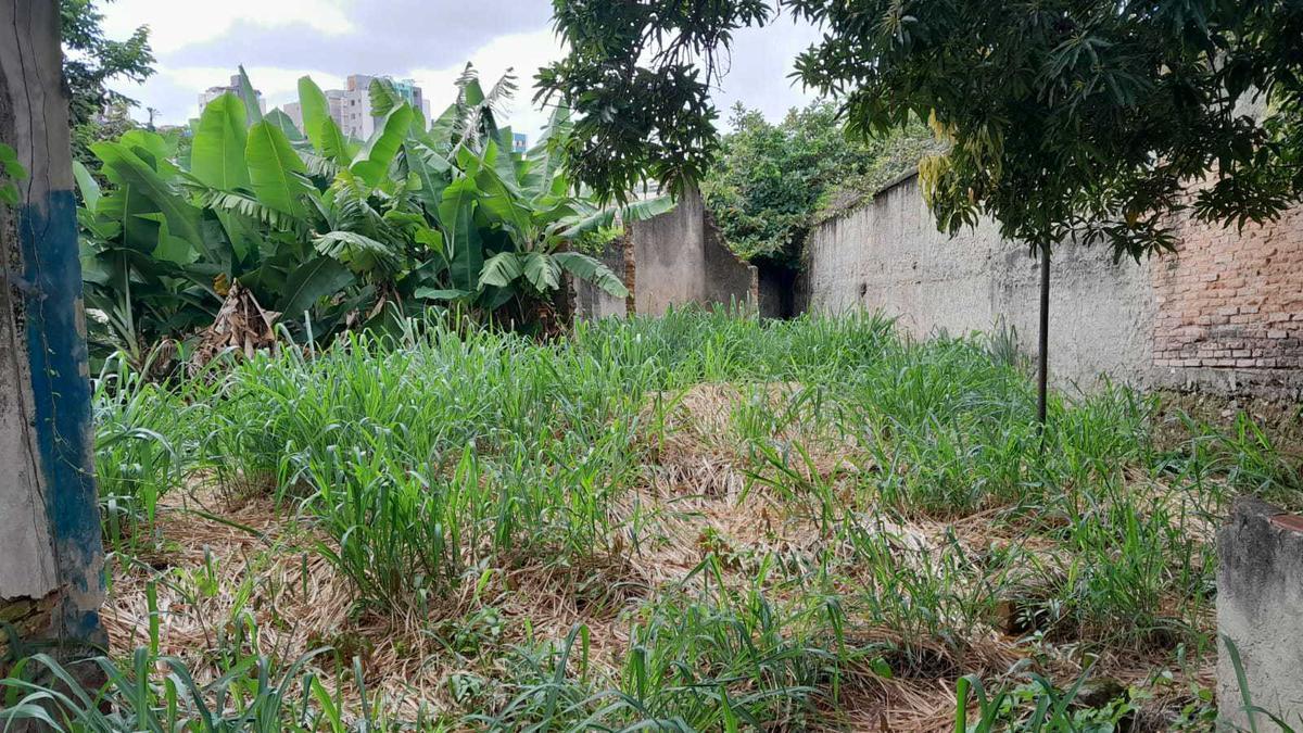 Lote, Nova Suíssa, 0 Quarto, 0 Vaga
