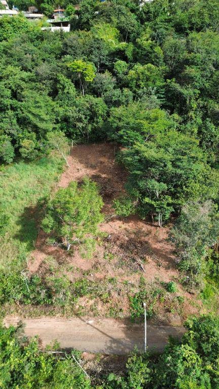 Lote, Terra Santa, 0 Quarto, 0 Vaga