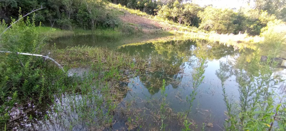 Fazenda, Zona Rural, 4 Quartos, 4 Vagas, 1 Suíte
