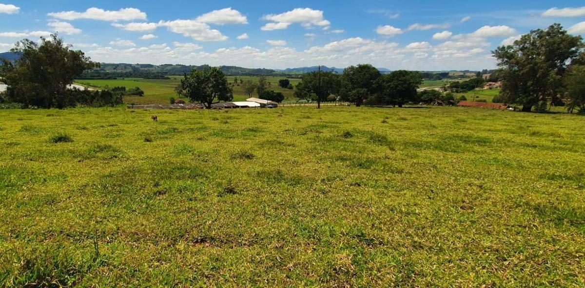 Fazenda, Centro, 4 Quartos, 2 Vagas, 1 Suíte