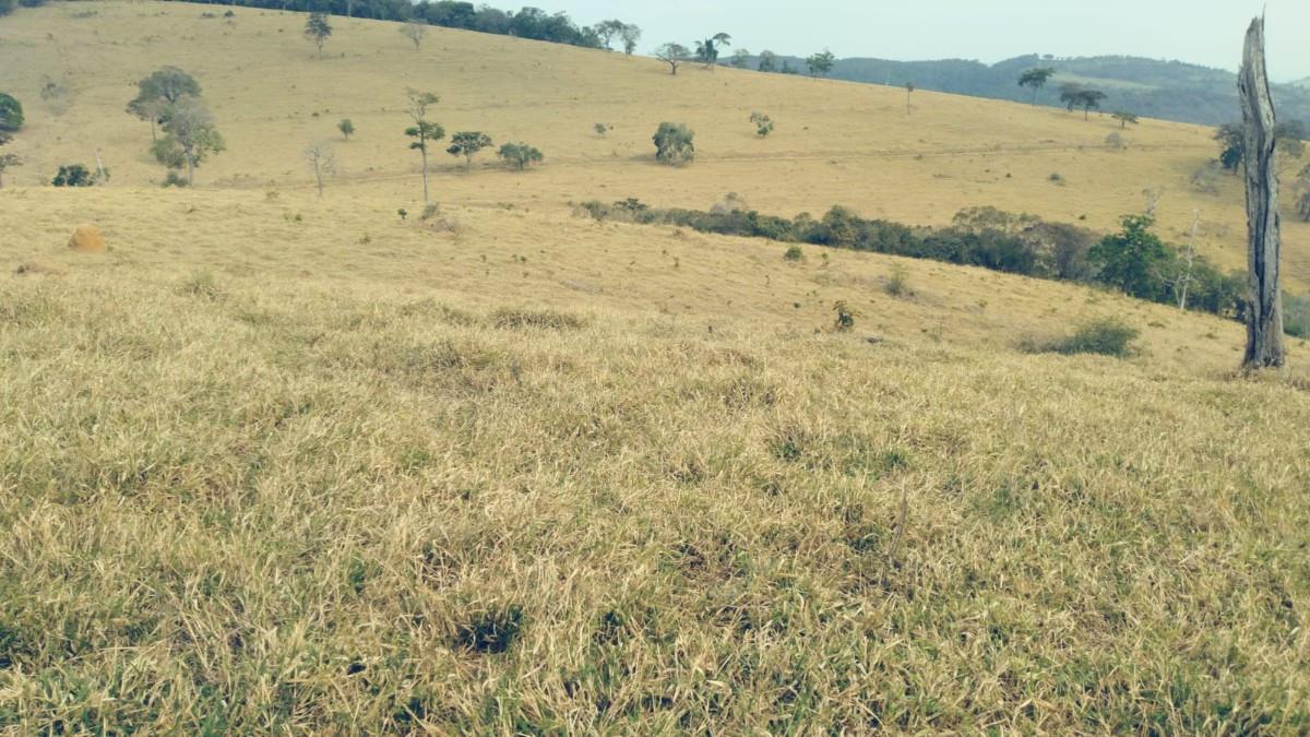 Fazenda, Zona Rural, 0 Quarto, 0 Vaga