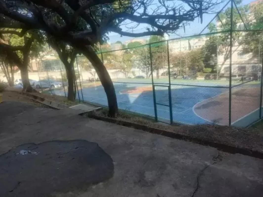 Apartamento, Santa Amélia, 3 Quartos, 1 Vaga