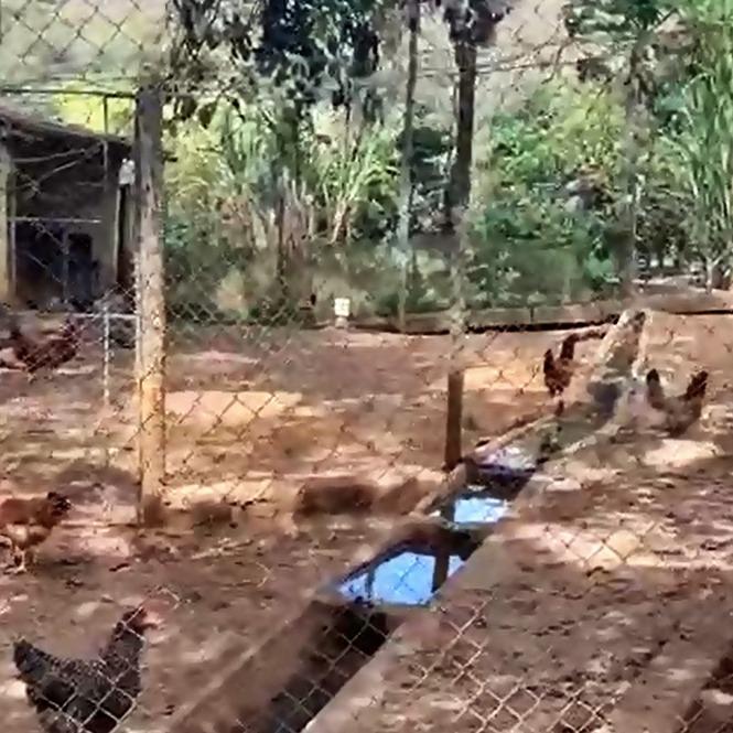 Fazenda, Centro, 4 Quartos, 10 Vagas, 1 Suíte