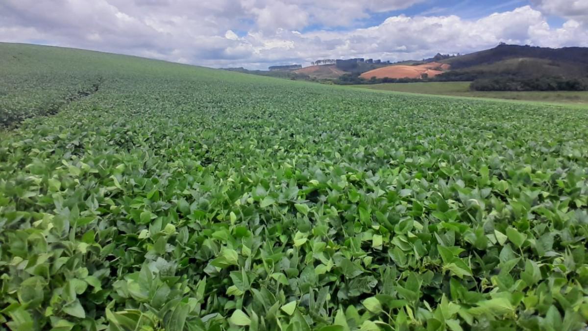 Fazenda, Zona Rural, 0 Quarto, 0 Vaga
