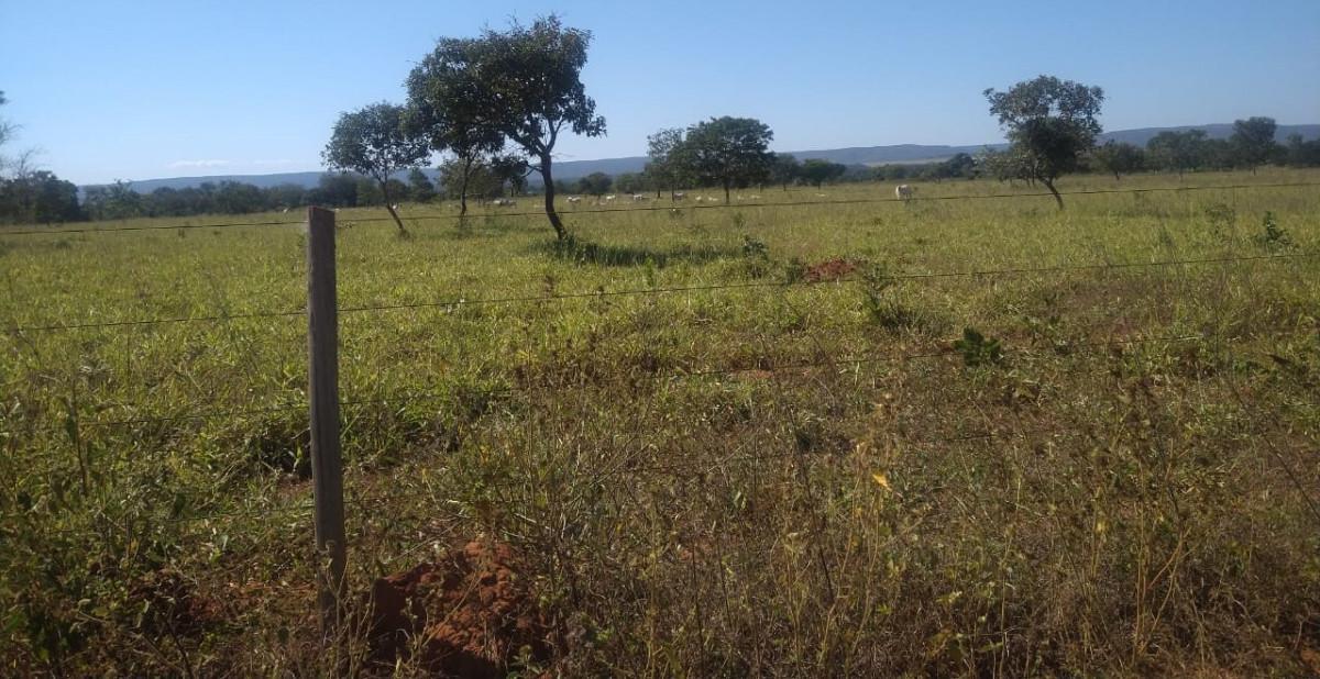 Fazenda, Zona Rural, 0 Quarto, 0 Vaga