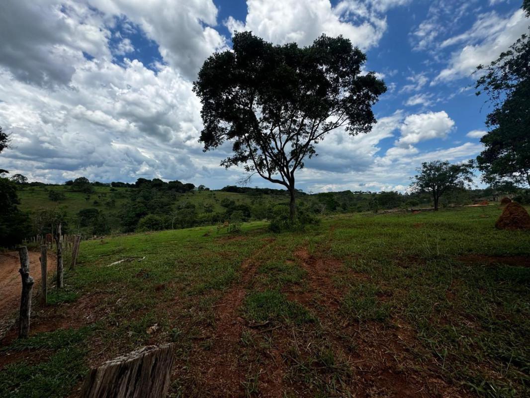 Lote, Centro, 0 Quarto, 0 Vaga