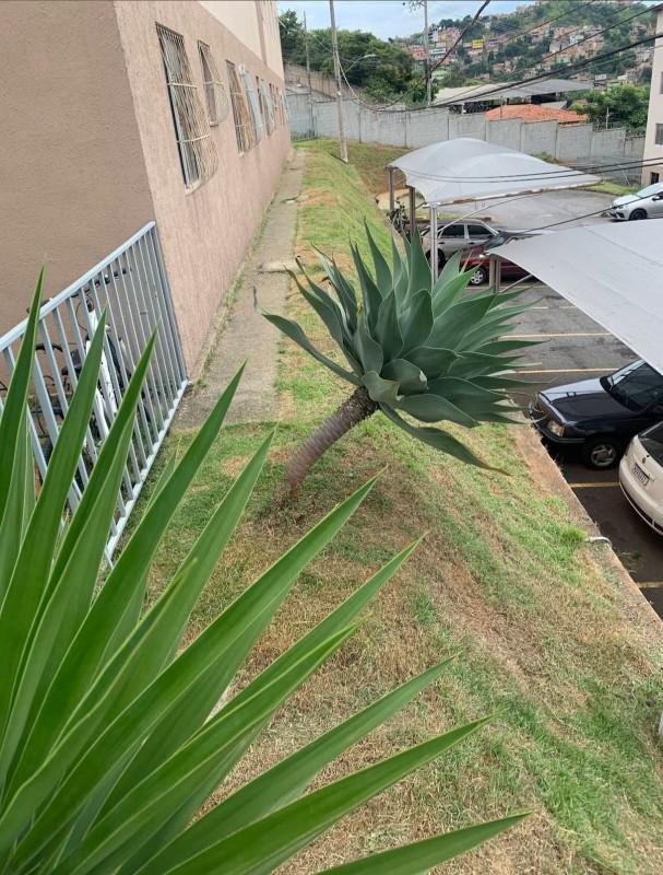 Apartamento, Bonsucesso, 2 Quartos, 1 Vaga