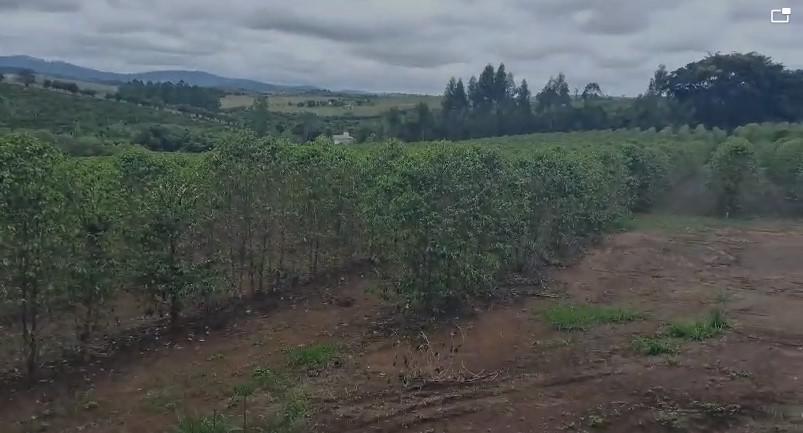 Fazenda, Zona Rural, 3 Quartos, 0 Vaga