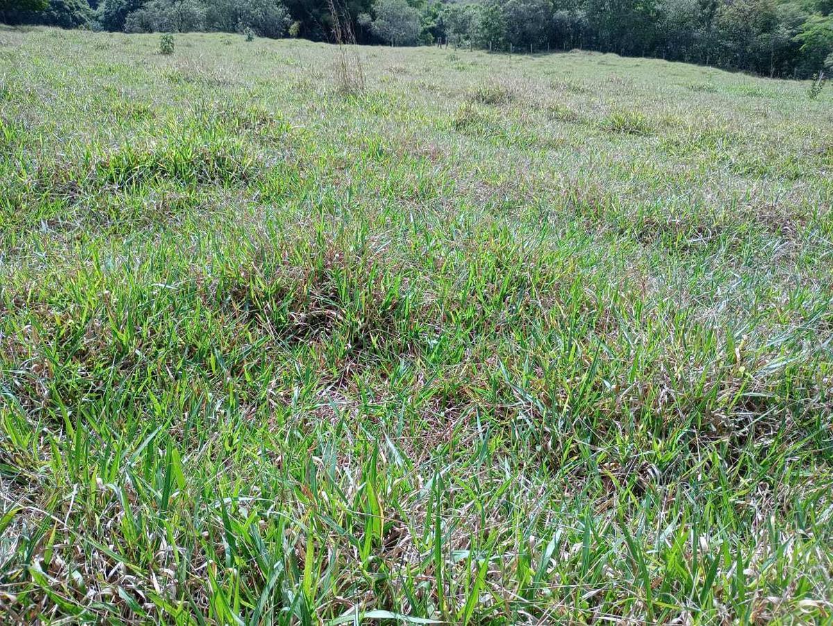 Fazenda, Zona Rural, 1 Quarto, 0 Vaga