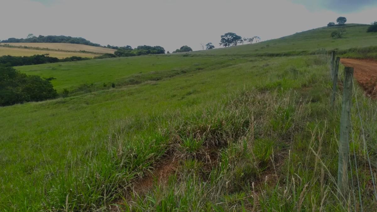 Fazenda, Zona Rural, 0 Quarto, 0 Vaga