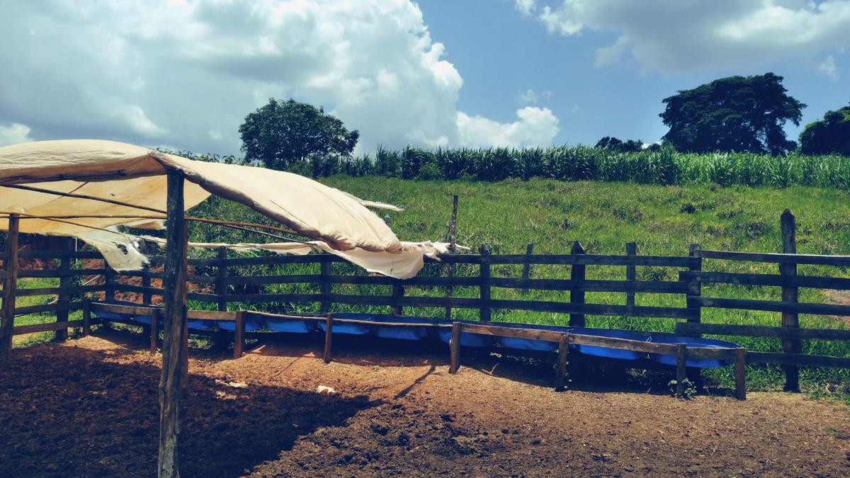 Fazenda, Zona Rural, 3 Quartos, 0 Vaga