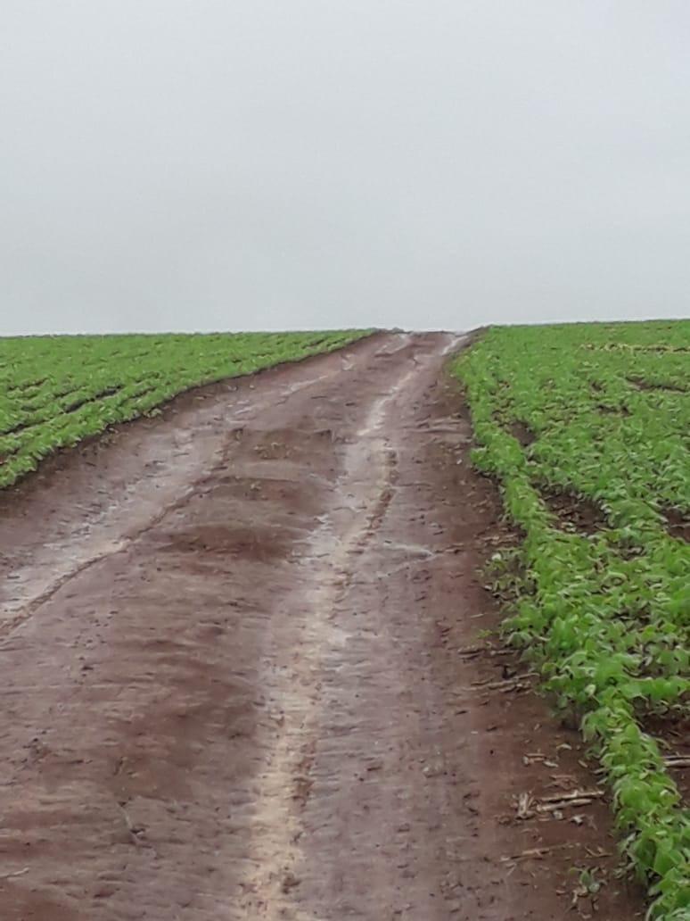 Fazenda, Centro, 1 Quarto, 1 Vaga, 1 Suíte