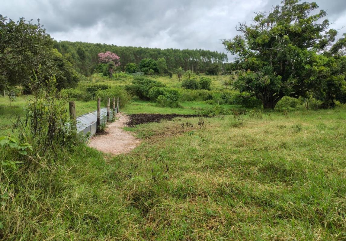 Fazenda, Zona Rural, 5 Quartos, 0 Vaga