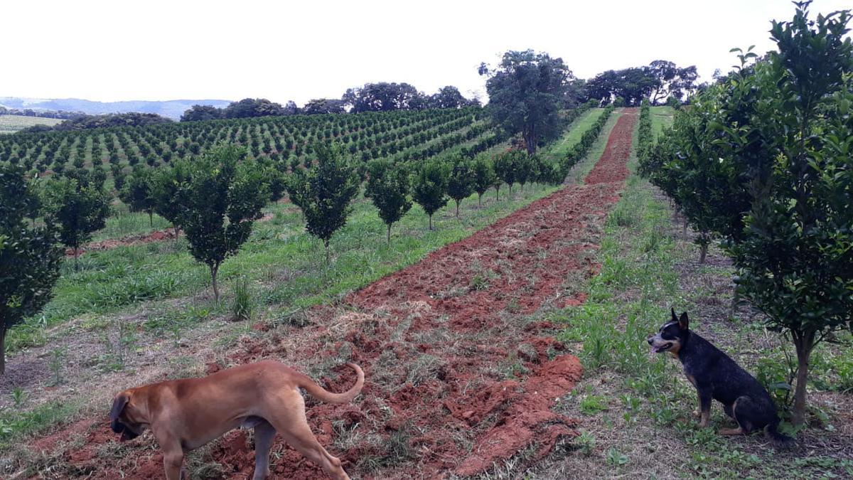 Fazenda, Zona Rural, 3 Quartos, 2 Vagas, 1 Suíte