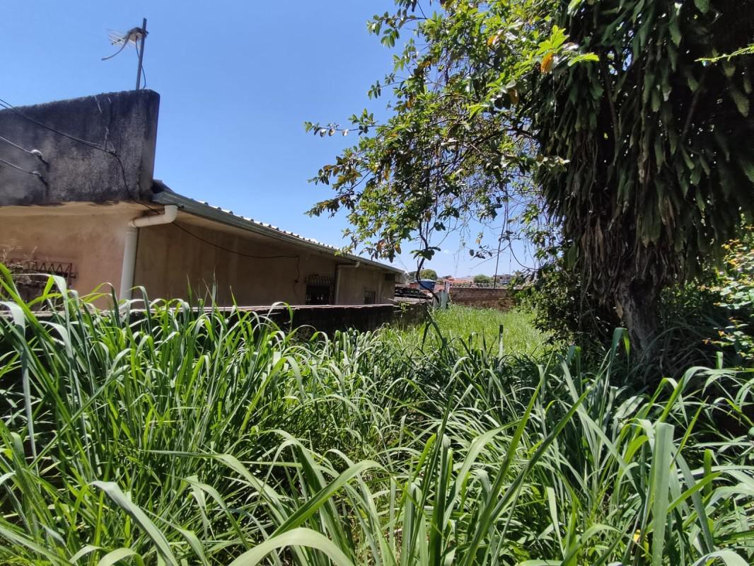 Lote, Santa Cruz, 0 Quarto, 0 Vaga