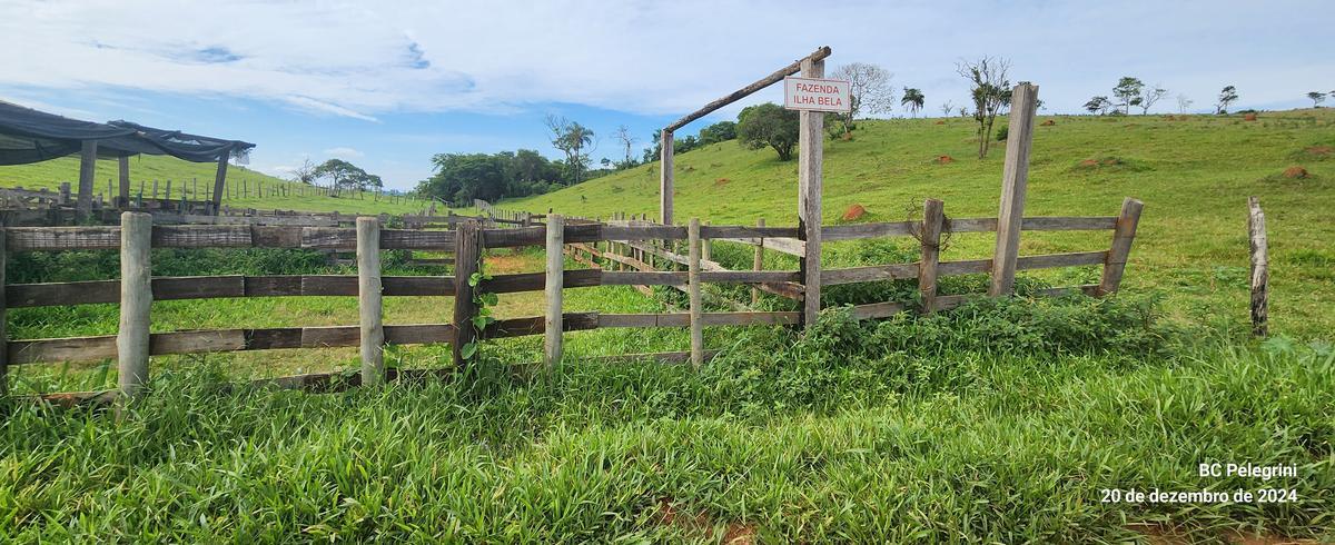 Fazenda, Zona Rural, 0 Quarto, 0 Vaga