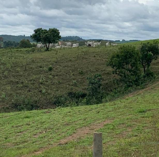 Fazenda, Zona Rural, 4 Quartos, 0 Vaga