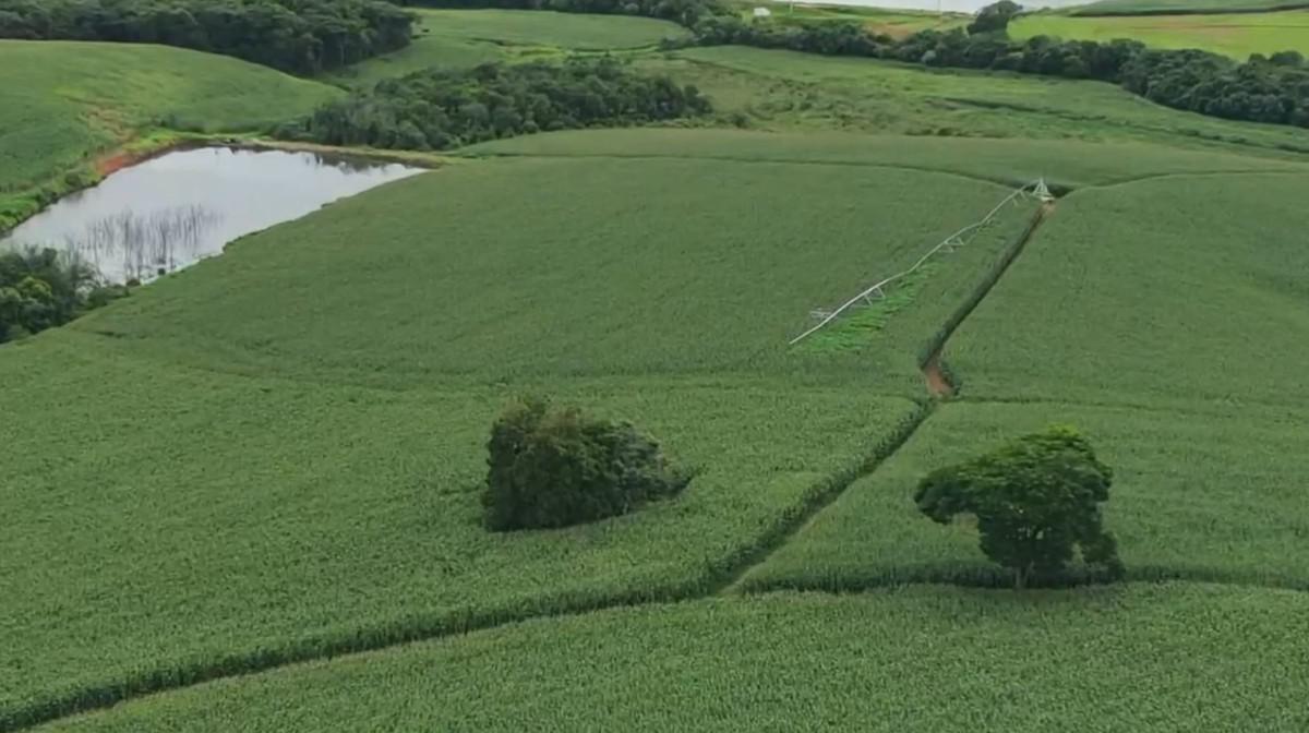 Fazenda, Zona Rural, 0 Quarto, 0 Vaga