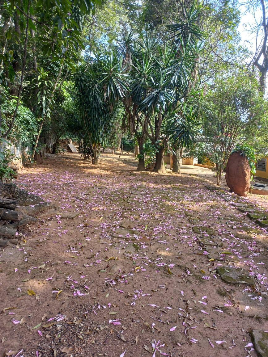 Fazenda, Vianópolis, 5 Quartos, 10 Vagas, 2 Suítes