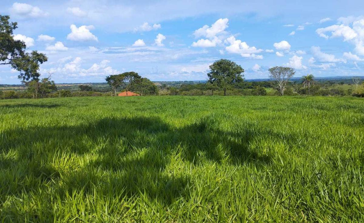 Fazenda, Zona Rural, 4 Quartos, 0 Vaga