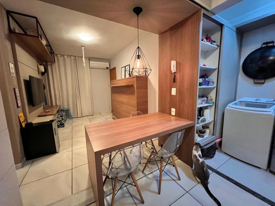 Apartamento, Palmeiras, 2 Quartos, 1 Vaga